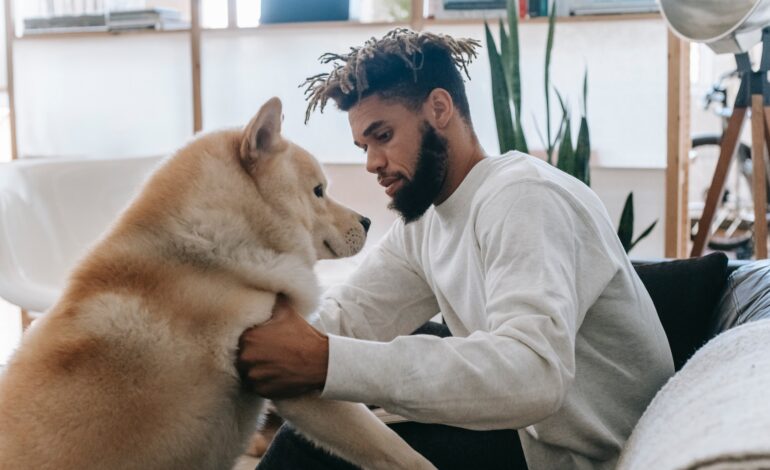 ¡Qué rico! La Alcaldía de Medellín está buscando el mejor buñuelo de la ciudad
